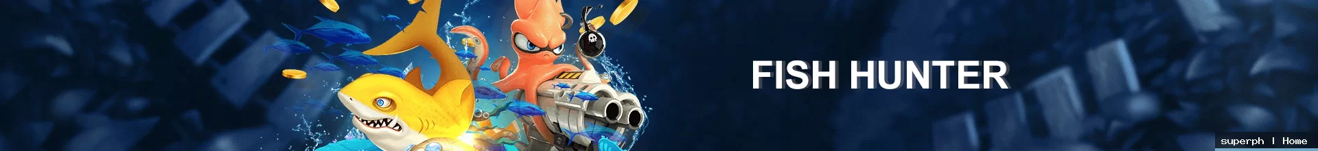 superph home visual guide 2